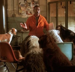 Dr. Dolittle Dr. Dolittle