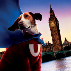 Underdog Underdog