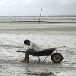 Carreto