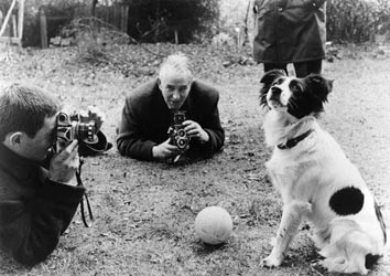 Pickles, o cão herói e famoso