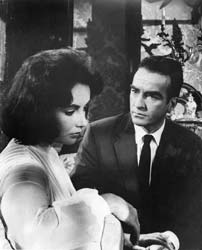 Liz Taylor Liz Taylor