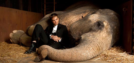 Robert Pattinson