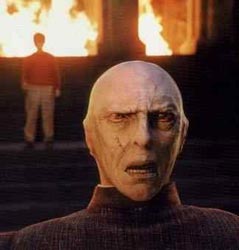 Harry Potter e a Pedra Filosofal