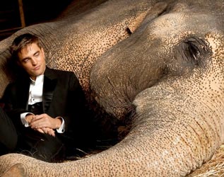 Água para Elefantes - Robert Pattinson