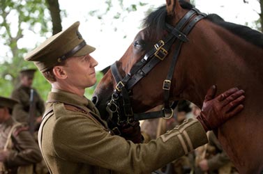 Cavalo de Guerra