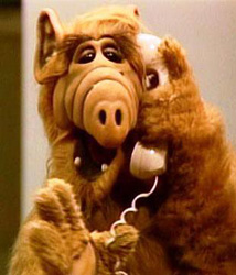 Alf