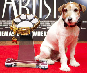 Uggie