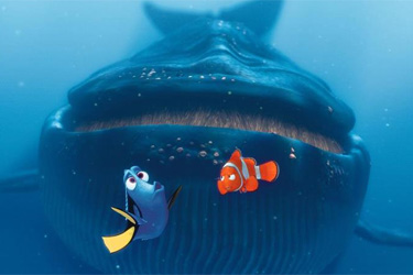 Procurando Dory