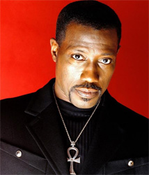 Wesley Snipe