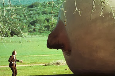 Tudo o Que Você Sempre Quis Saber Sobre Sexo E Tinha Medo de Perguntar