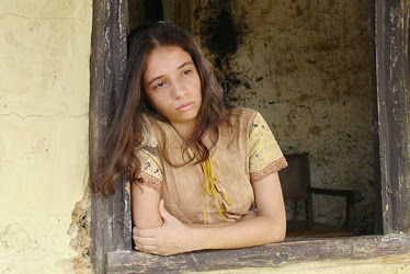 Pau Brasil 