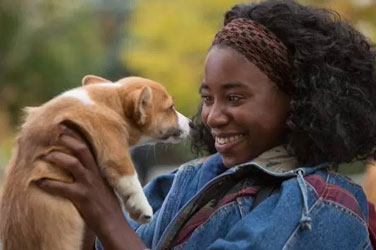 Quatro vidas de cachorro - filme